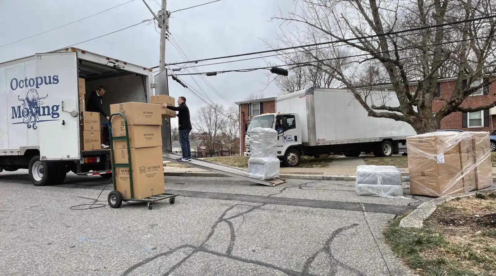 Full-service Providence moving companies typically offer local moving, packing and unpacking, and furniture