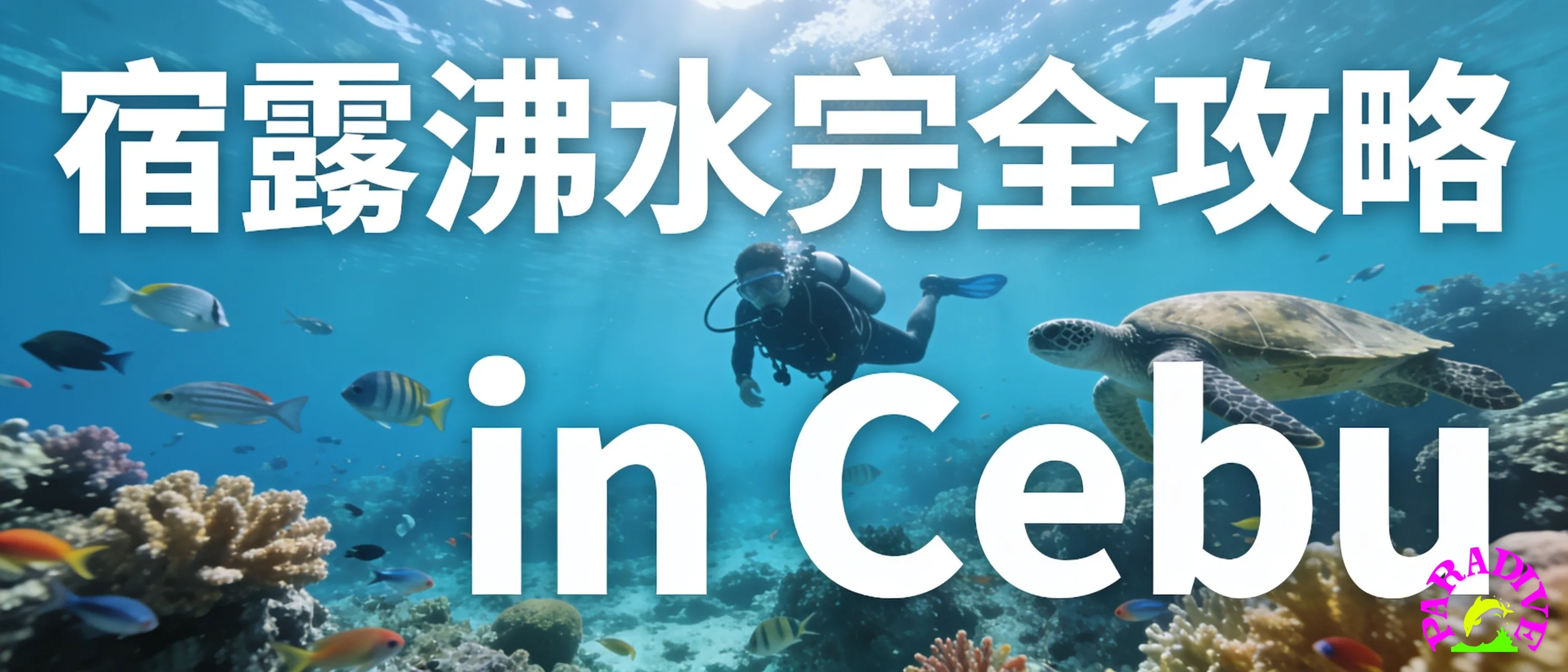 墨寶(Moalboal)以數百萬條沙丁魚形成的壯觀魚群聞名,是宿霧最具代表性的潛水體驗之一。; 奧斯陸(Oslob)提供鯨鯊共游體驗,是宿霧另一個不可錯過的潛水地點。 in Cebu, 宿霧潛水完全攻略 in Cebu 墨寶(Moalboal)以數百萬條沙丁魚形成的壯觀魚群聞名,是宿霧最具代表性的潛水體驗之一。; 奧斯陸(Oslob)提供鯨鯊共游體驗,是宿霧另一個不可錯過的潛水地點。 in Cebu, 宿霧潛水完全攻略 in Cebu