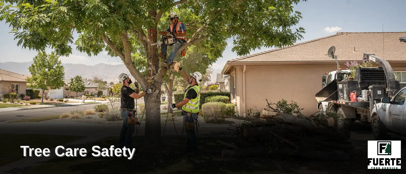 Fuerte Tree Service is based in Bakersfield, CA, giving it direct familiarity with local soil
