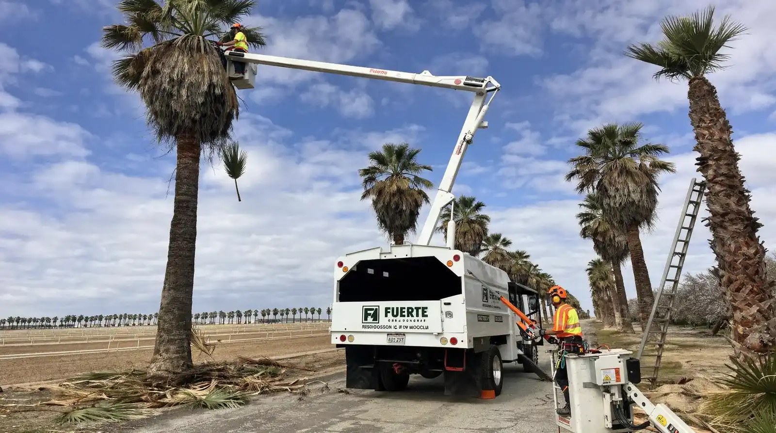 Tree removal ranks among the most dangerous property maintenance tasks because it combines heavy machinery