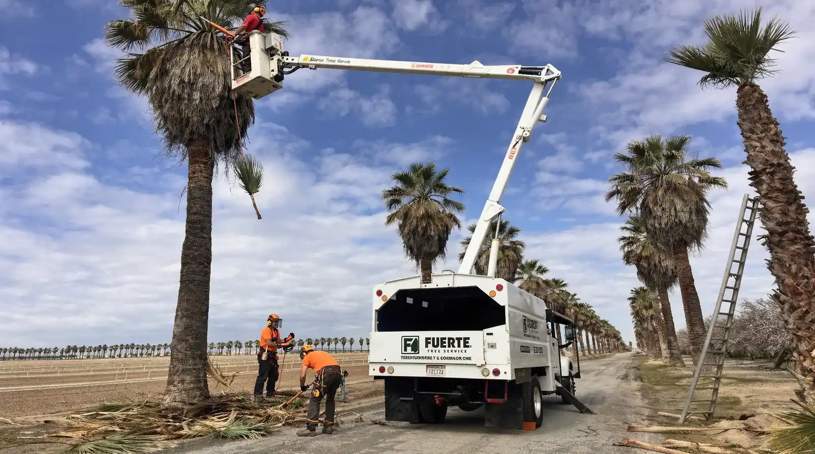 Fuerte Tree Service has provided tree care in the Bakersfield area for more than 15