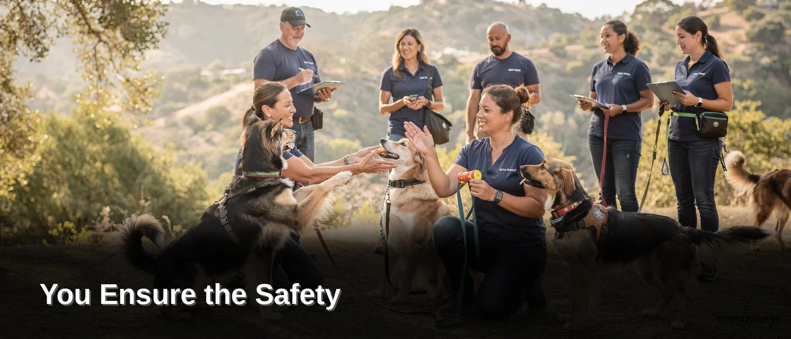 Effective training safety starts with a control-first, non-aggressive foundation rather than force-based correction