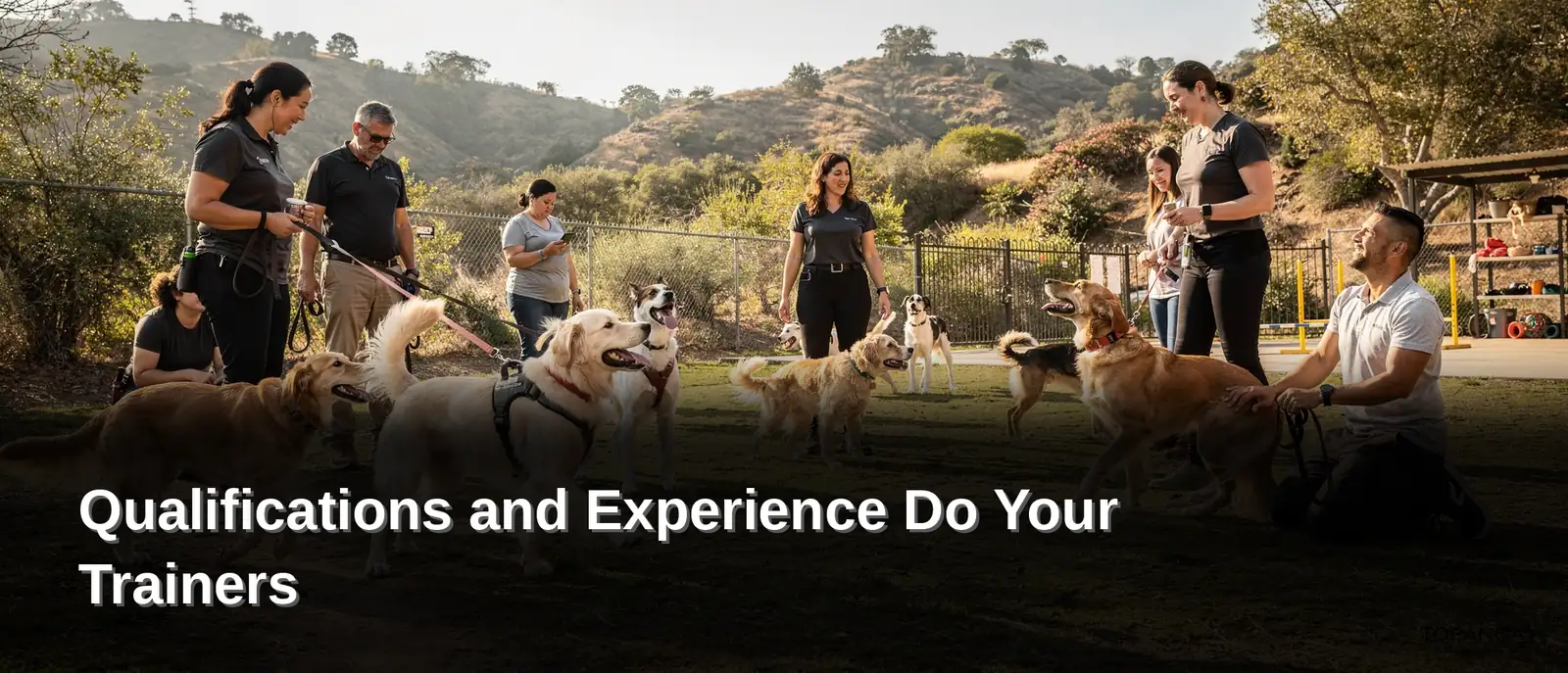 Topanga Pet Resort employs six certified dog trainers who work with Los Angeles-area clients
