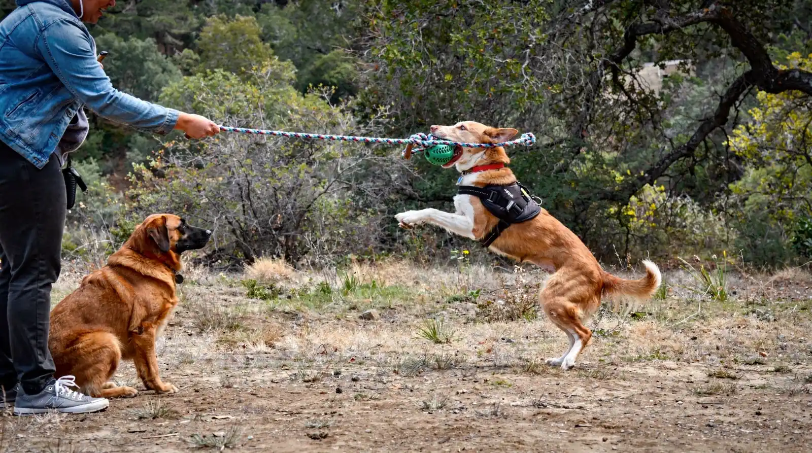 Direct, hands-on training experience is considered more effective than online-only instruction for building real skill
