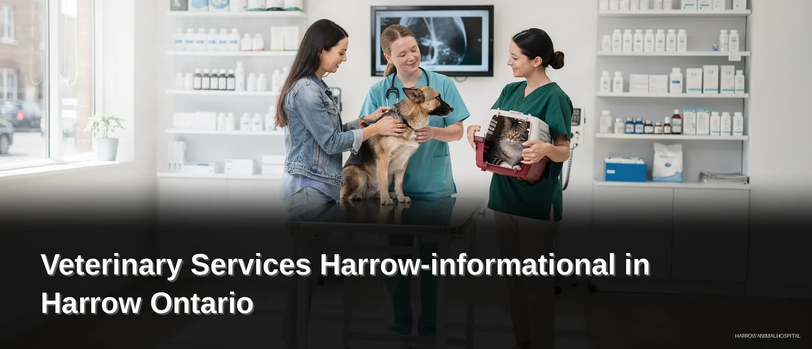 Veterinary Services Harrow-informational in Harrow, Ontario