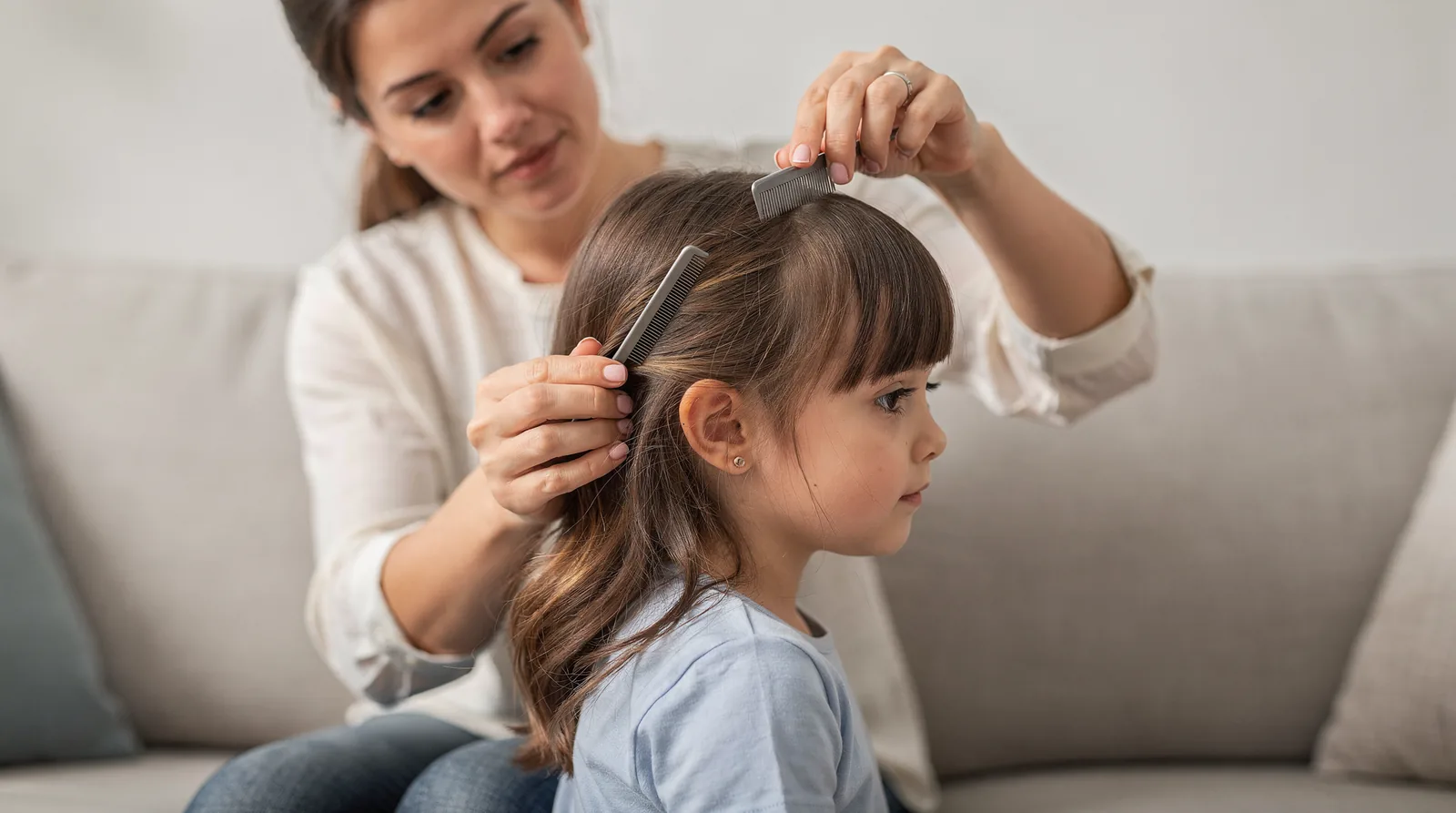 Parents should focus checks behind the ears and at the nape of the neck, where Parents should focus checks behind the ears and at the nape of the neck, where