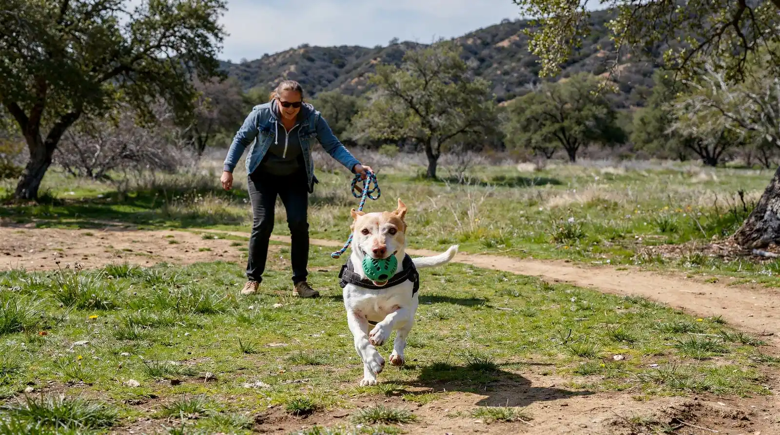 The Topanga Canyon property spans several acres in a peaceful, nature-forward setting.; Dogs get 5-6