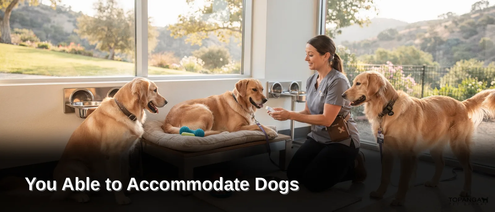 Pet owners often worry about leaving dogs with special dietary or medical needs in someone