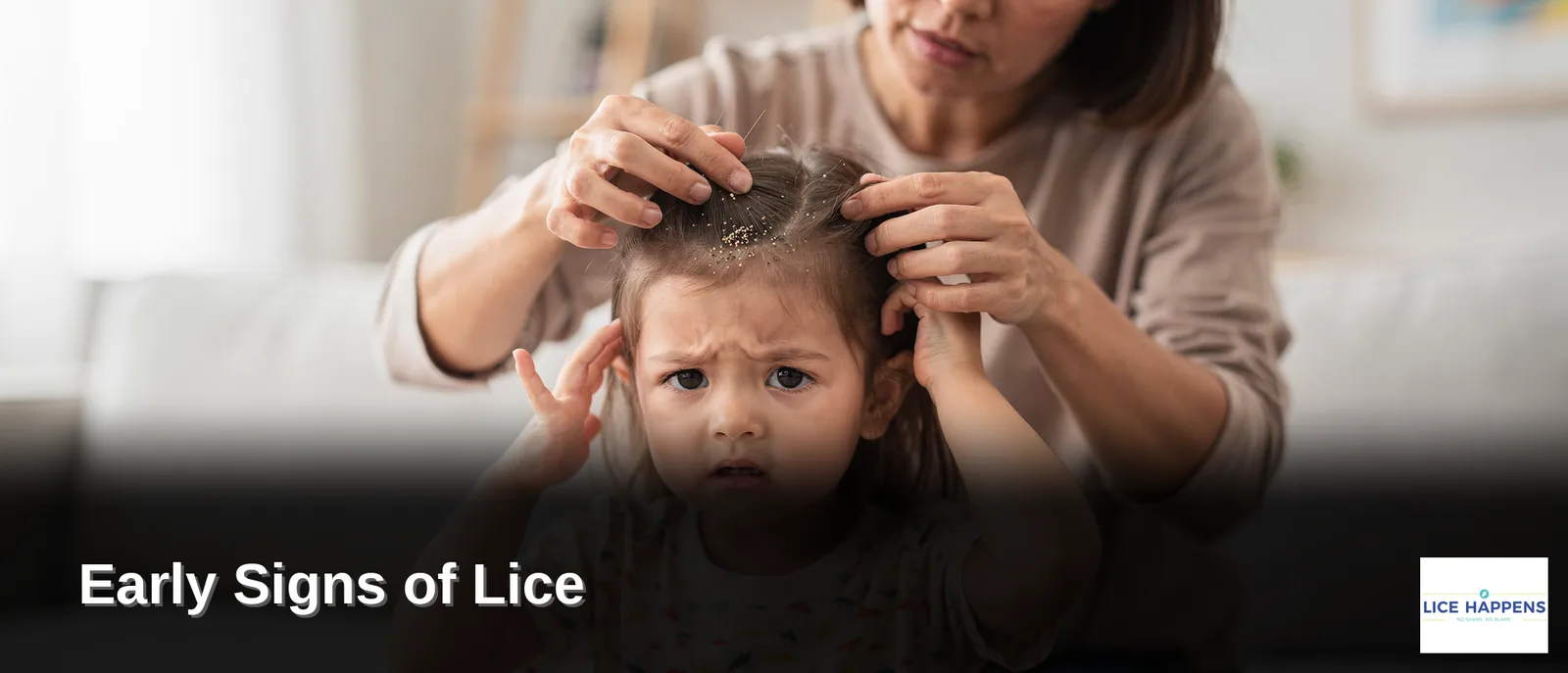 Itching is the most common symptom of a head lice infestation and results
