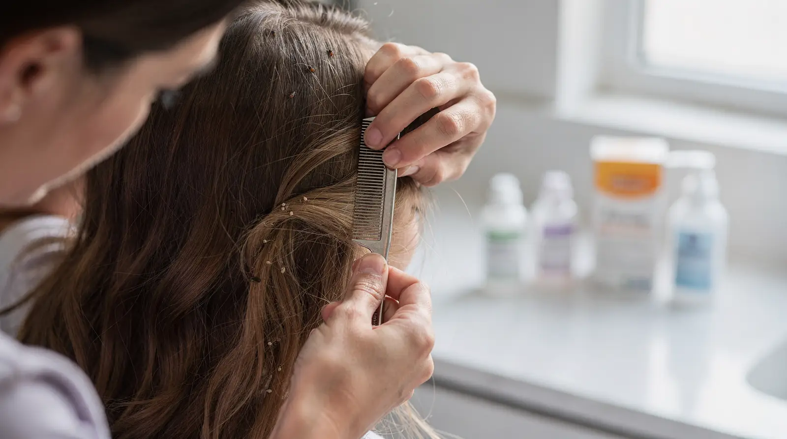 Recent research shows many head lice populations have developed resistance to common over-the-counter treatments.; Most