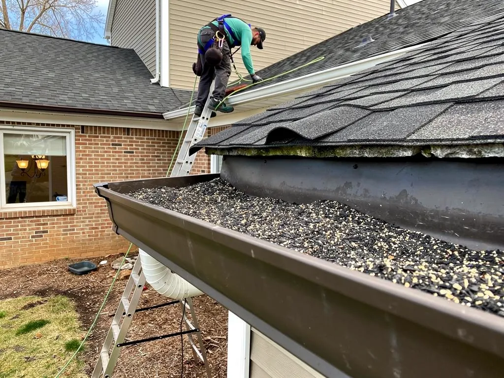 Roofer inspecting curling shingles and gutter granules on a home