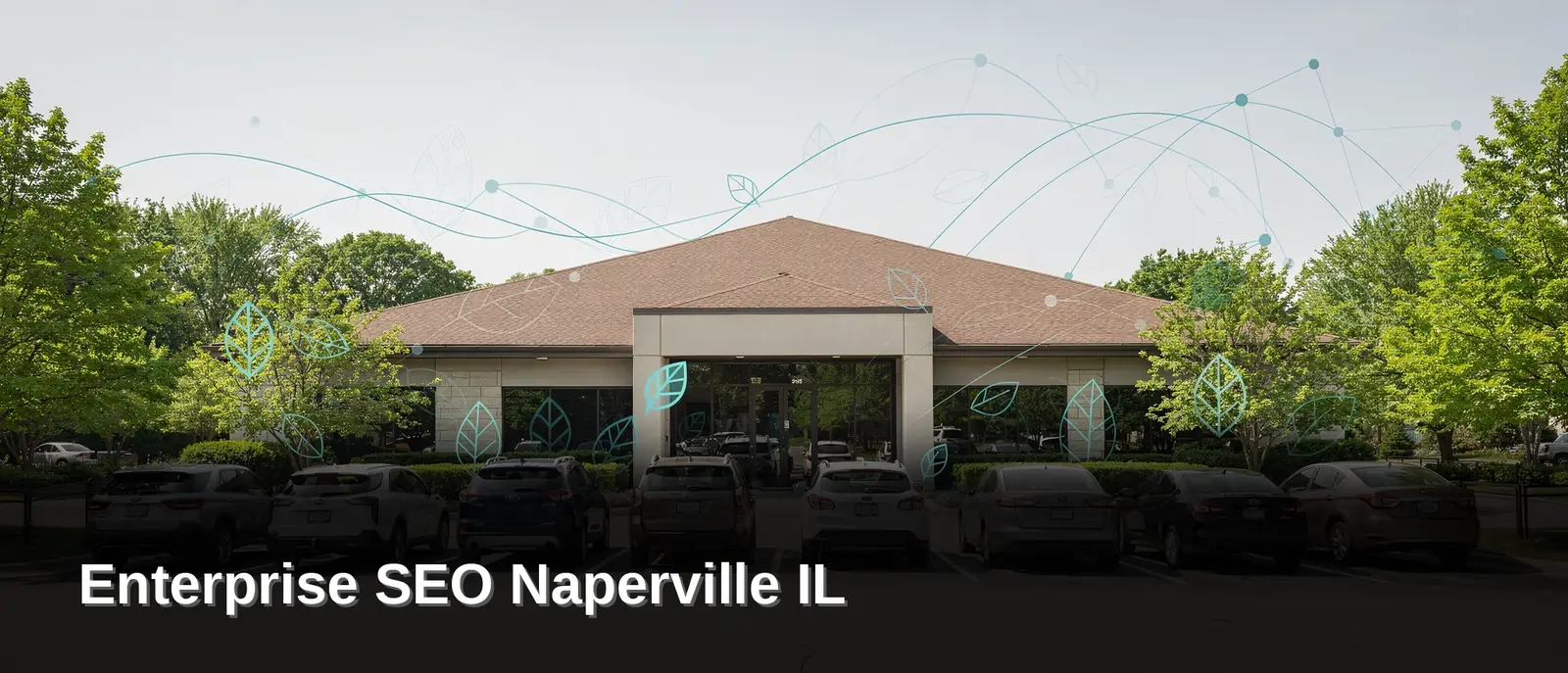 Enterprise SEO Naperville IL: Scalable in Naperville, Illinois
