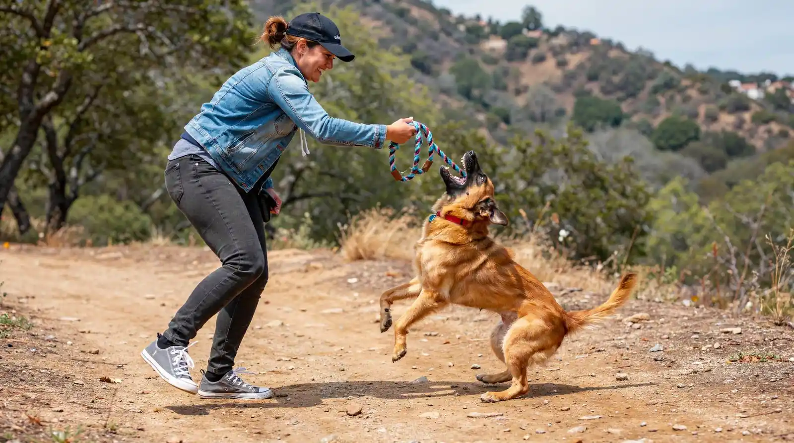 Los Angeles dog owners have reported serious harm to their pets after hiring unverified trainers