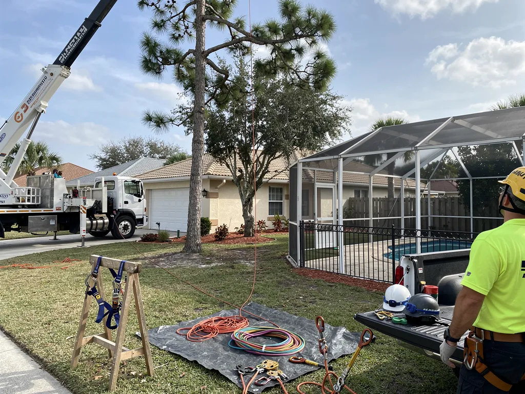 What Equipment Is Needed for Tree Removal in Pasco County