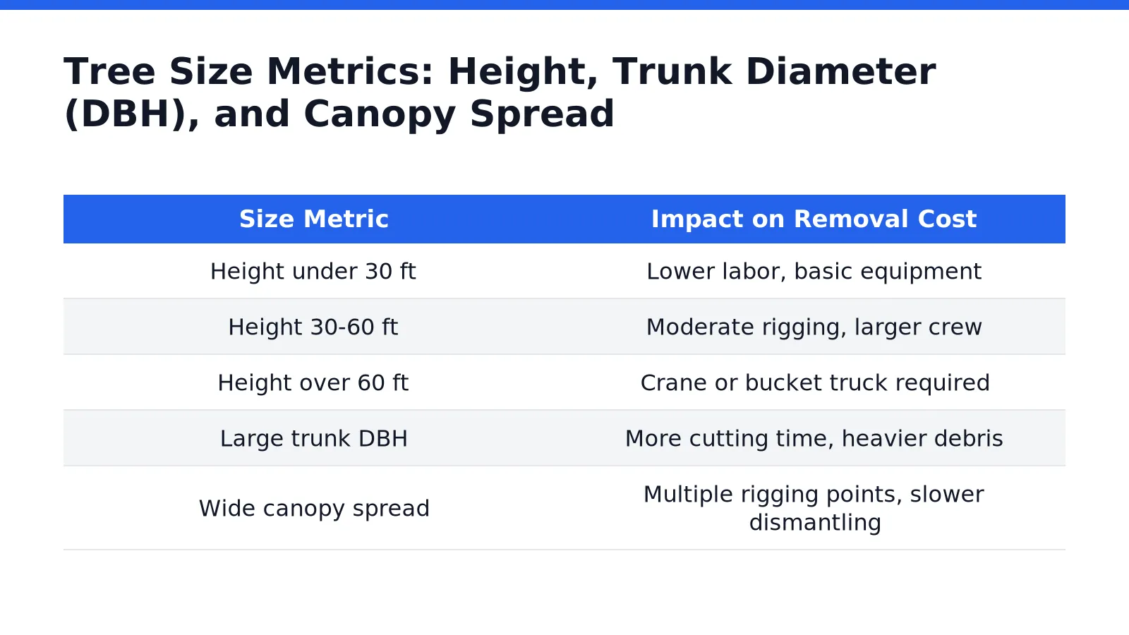How Height, Trunk Diameter, and Canopy Spread Affect Tree Removal Costs in Pasco County, Florida