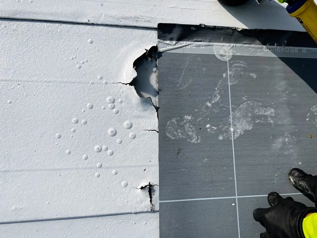 What Are the Most Common Commercial Flat Roof Emergencies in Minnesota