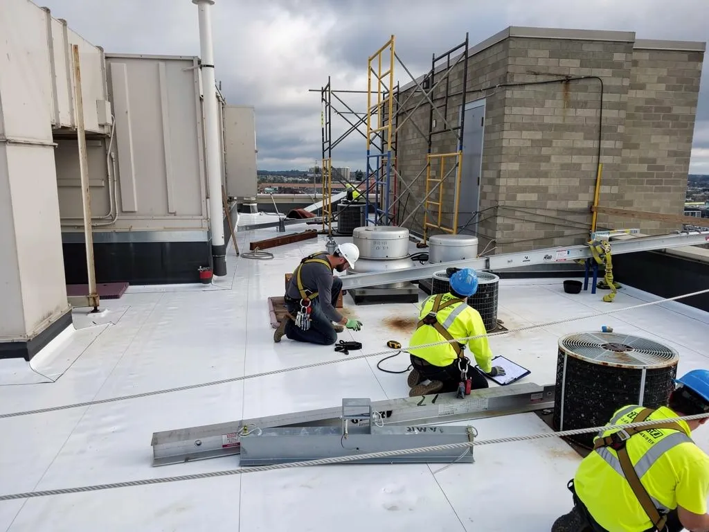 Why Is Immediate Emergency Flat Roof Repair Critical for Minnesota Businesses