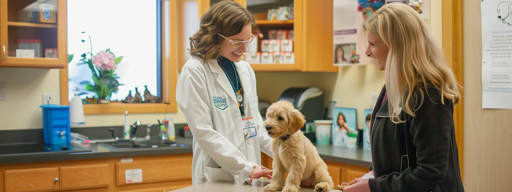 a cozy, well-lit veterinary clinic showcases a knowledgeable breeder discussing health screenings with a prospective puppy owner, as a playful goldendoodle puppy stands nearby, embodying the hopeful future of healthier litters and therapy potential.