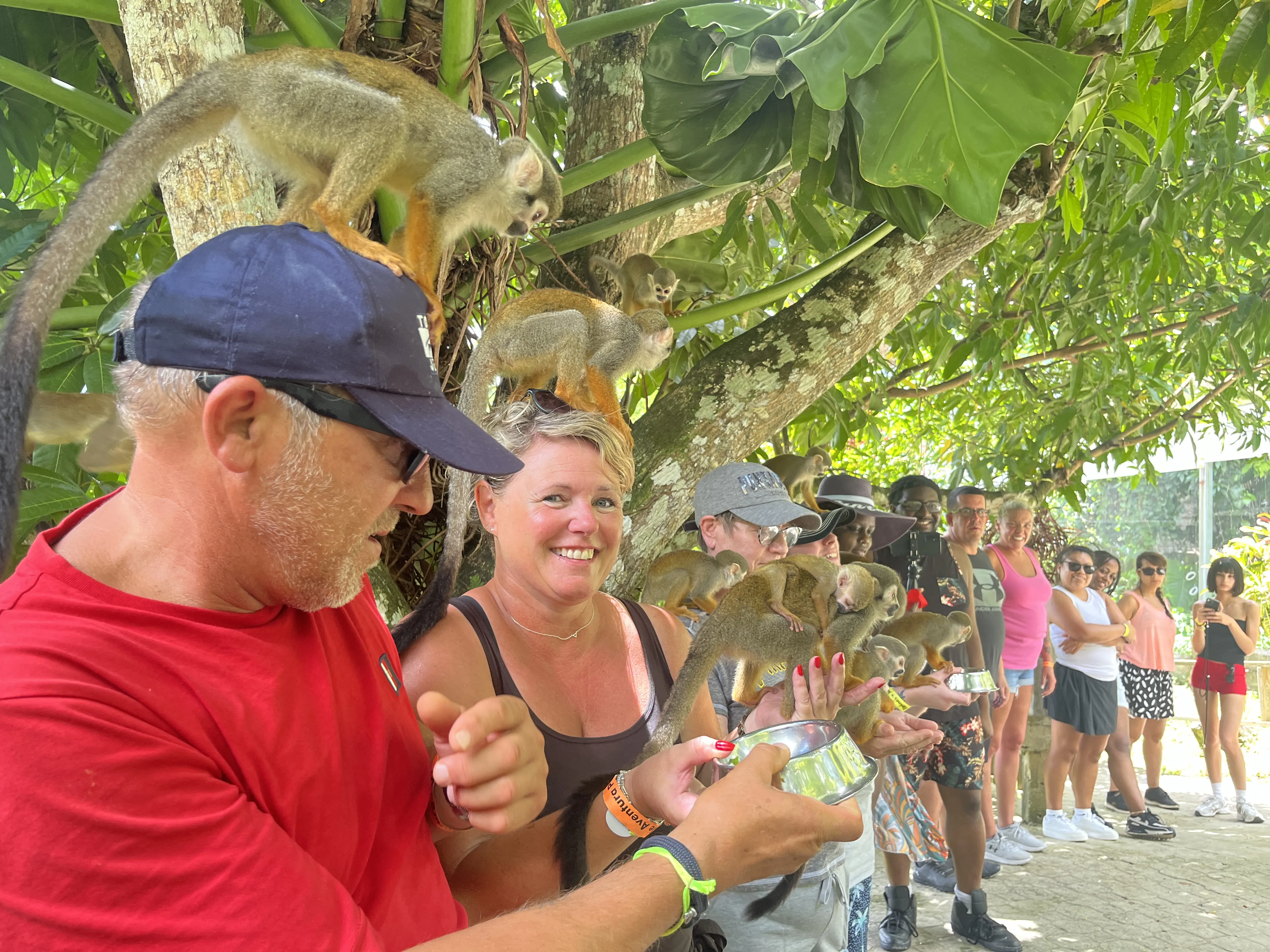 Tourists feeding squirrel monkeys at Monkey Land in Punta Cana, standing under tropical trees during a guided wildlife interaction