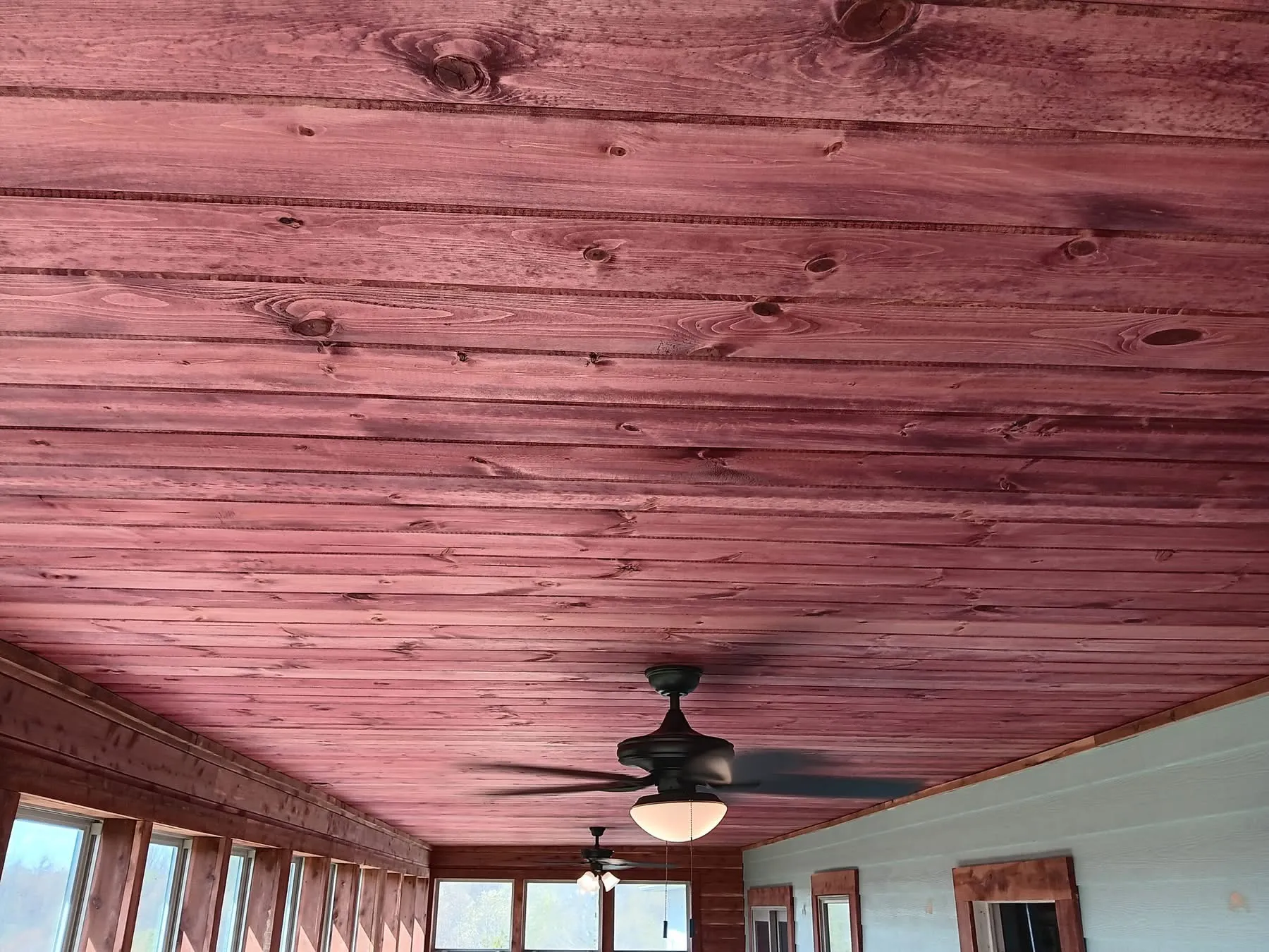 Eastern red cedar tongue and groove installed on an interior ceiling in room with many windows that provide natural light to the space. Eastern Red Cedar tongue and groove ceiling planks with natural wood grain, showcasing a polished finish and ceiling fan in a well-lit space.