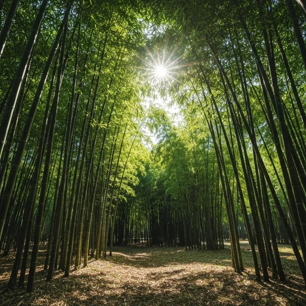 Lush bamboo plantation showcasing sustainable growth practices, emphasizing eco-friendliness and natural beauty
