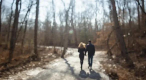 People walking on a winter trail in Northern Virginia during a calm morning nature walk. People walking on a winter trail in Northern Virginia during a calm morning nature walk.
