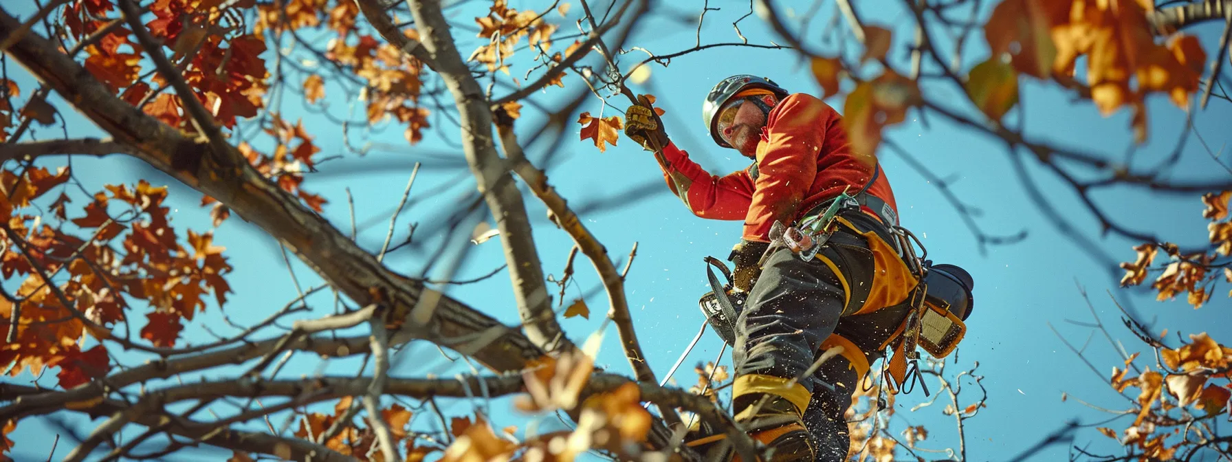 an arborist strategically trims branches to promote tree health and prevent risks to surrounding structures.