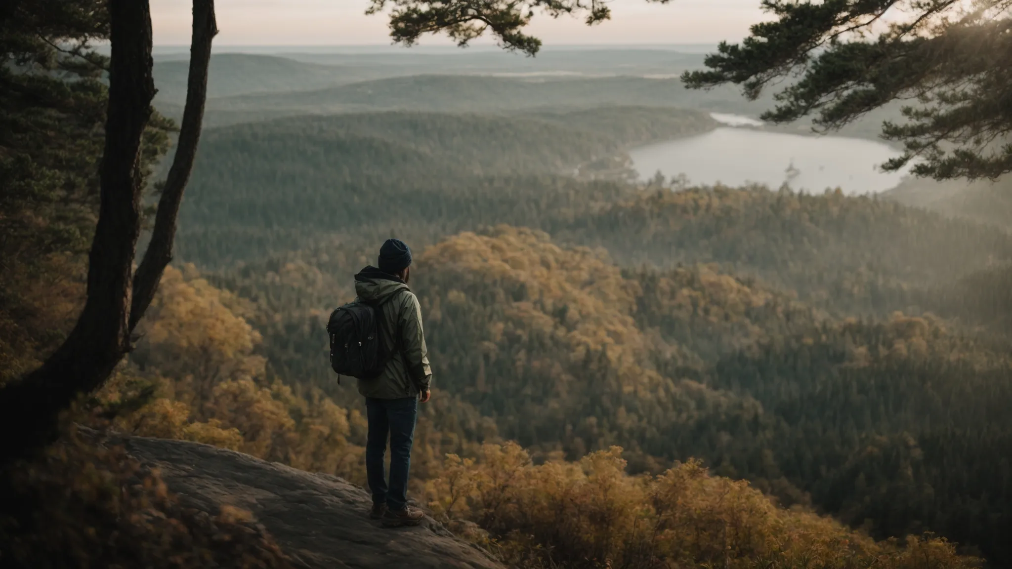 a person stands at a cliff's edge, overlooking a vast forest, capturing the scene with a smartphone.