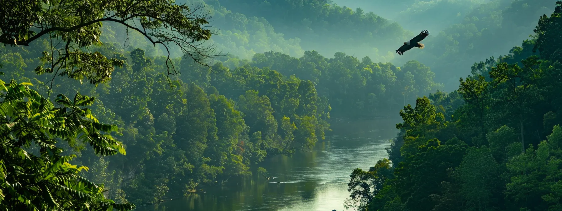 a breathtaking view of the ocoee river framed by lush greenery, with a majestic bald eagle soaring above, capturing the essence of vibrant bird watching in a tranquil natural setting.
