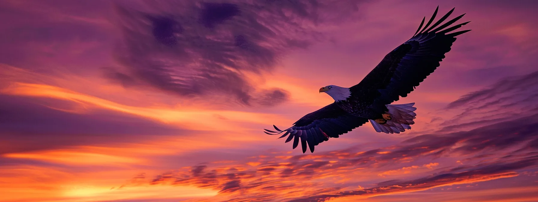a majestic eagle soars gracefully against a vibrant sunset sky, its feathers illuminated by hues of orange and purple, embodying the spirit of freedom.