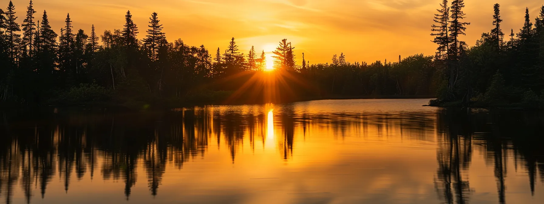 a tranquil sunset casts a warm golden glow over a serene lake, with silhouettes of towering pine trees reflecting flawlessly on the water's glassy surface.