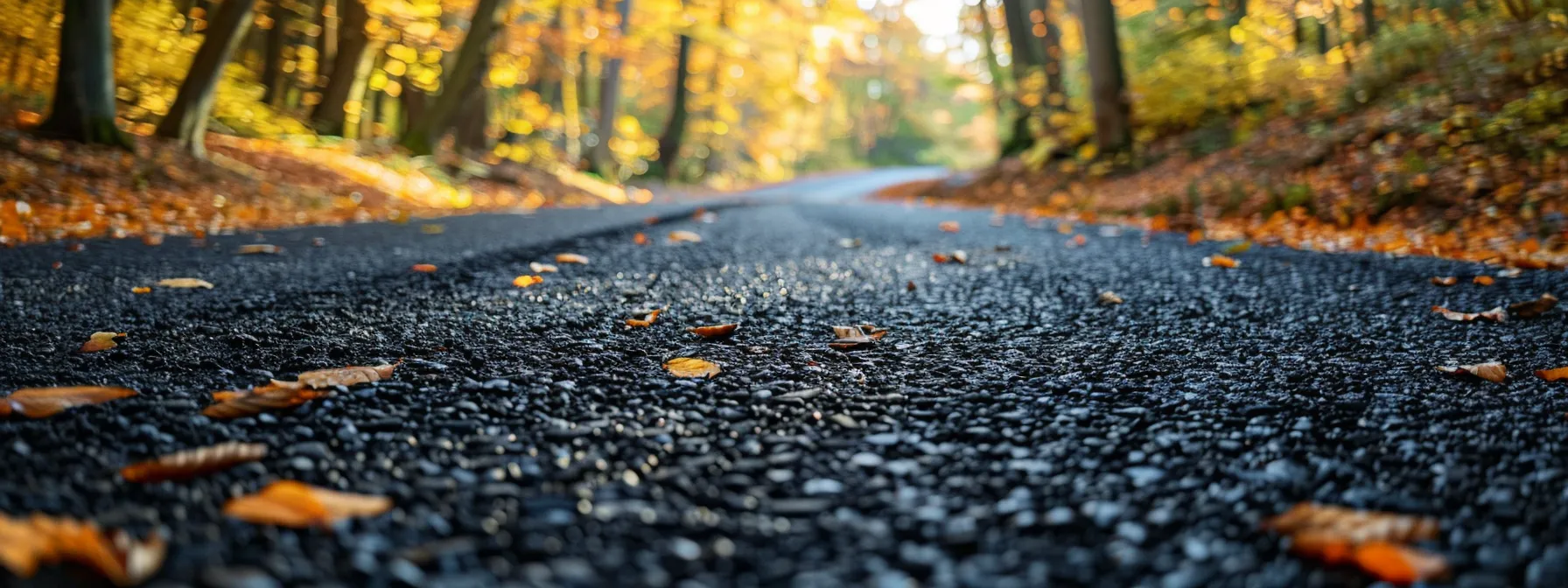 a vibrant autumn landscape showcases a freshly treated asphalt road, reflecting the golden hues of fallen leaves, emphasizing the importance of seasonal maintenance for durable surfaces.