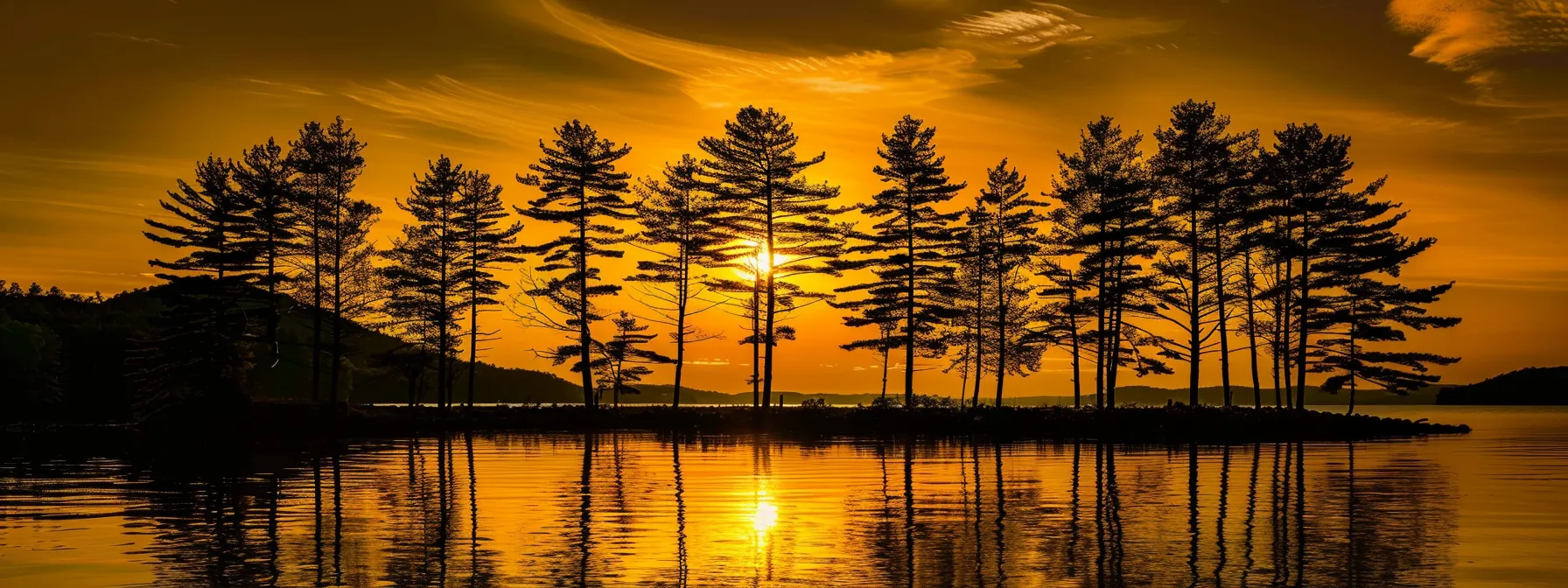 a vibrant sunset casts a warm golden hue over a serene lake, with silhouettes of tall pine trees framing the tranquil water's edge. a vibrant sunset casts a warm golden hue over a serene lake, with silhouettes of tall pine trees framing the tranquil water's edge.