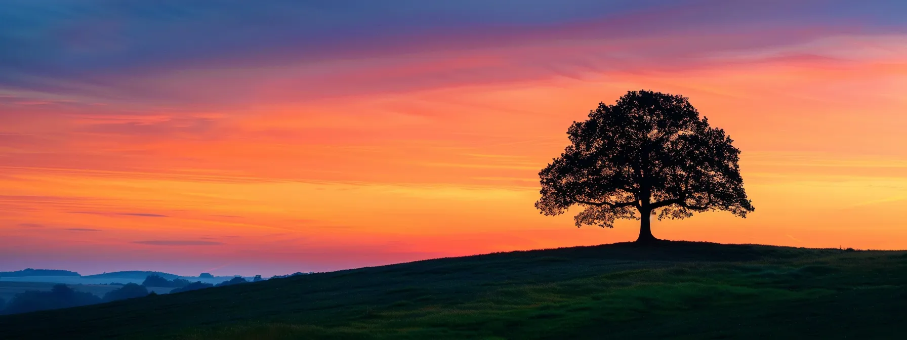 a vibrant sunset casts a golden glow over rolling hills, where a solitary oak tree stands majestically against the dramatic, colorful sky.