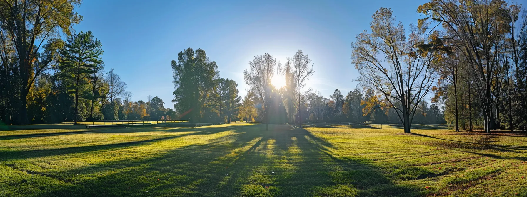 a gleaming solar panel faces the direct sunlight, angled perfectly to maximize energy capture, surrounded by a clean and well-maintained environment. a gleaming solar panel faces the direct sunlight, angled perfectly to maximize energy capture, surrounded by a clean and well-maintained environment.