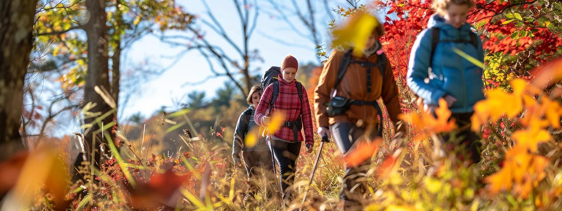 Seasonal views of the Blue Ridge Mountains showcasing optimal hiking conditions. Seasonal views of the Blue Ridge Mountains showcasing optimal hiking conditions.