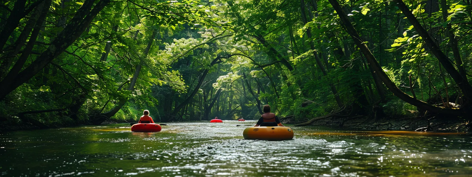 tubers floating down the french broad river with lush greenery lining the banks.