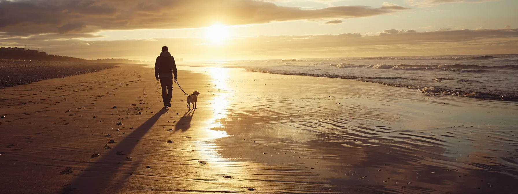 walking dog on beach