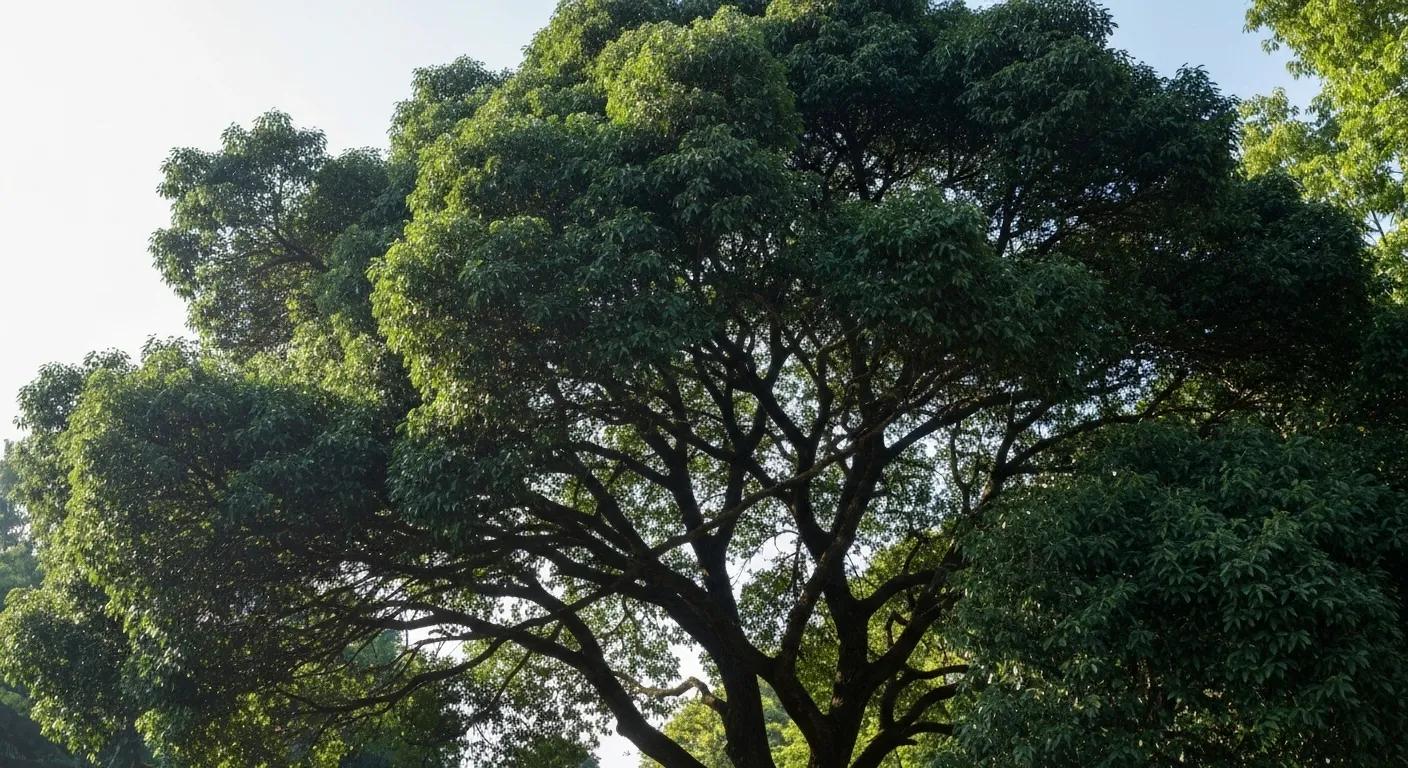 A tree with a dense canopy showing signs of overcrowding, highlighting the necessity of professional pruning A tree with a dense canopy showing signs of overcrowding, highlighting the necessity of professional pruning