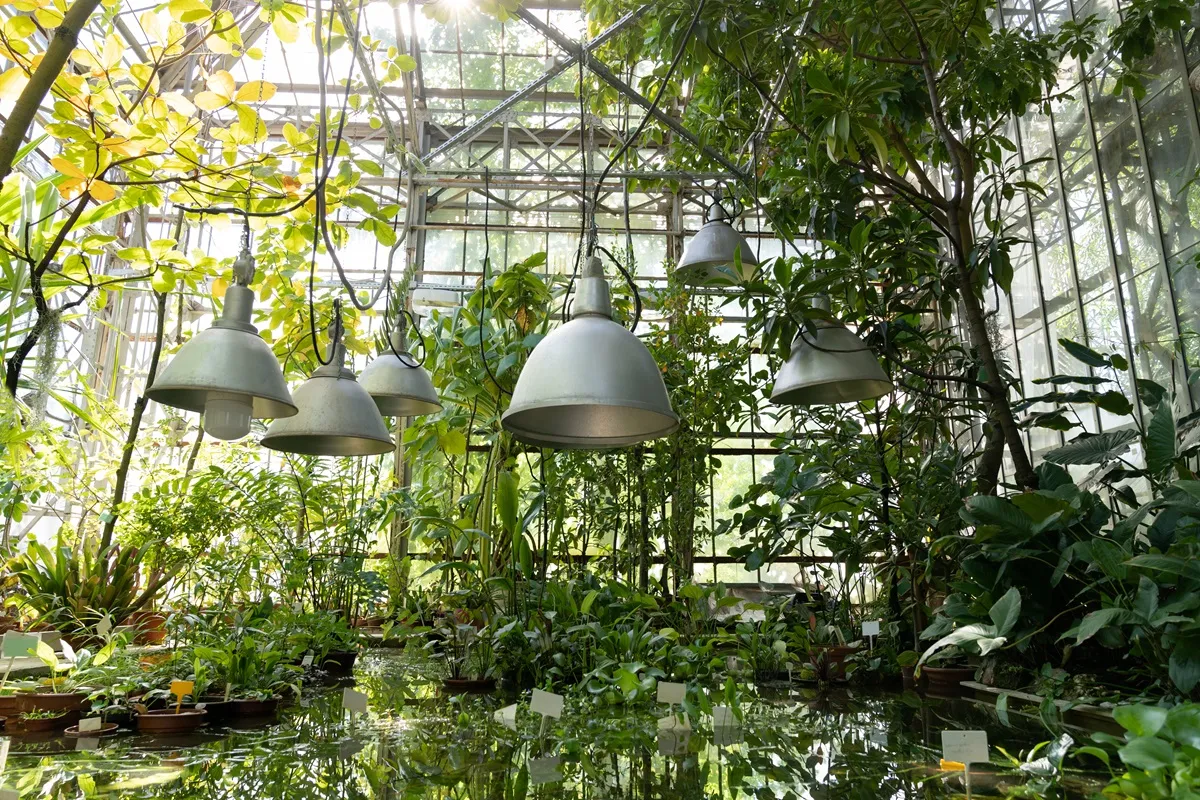 Top 5 Outdoor Lighting Trends for Zelienople Homeowners in 2025 3 f600f92e 5351 459e bdf6 412bd950021c