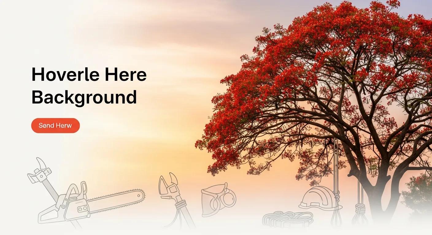 Essential Phoenix Tree Removal Guide