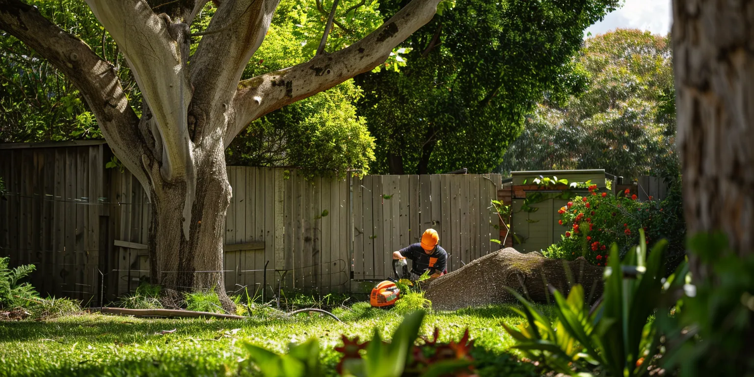 Tree Removal