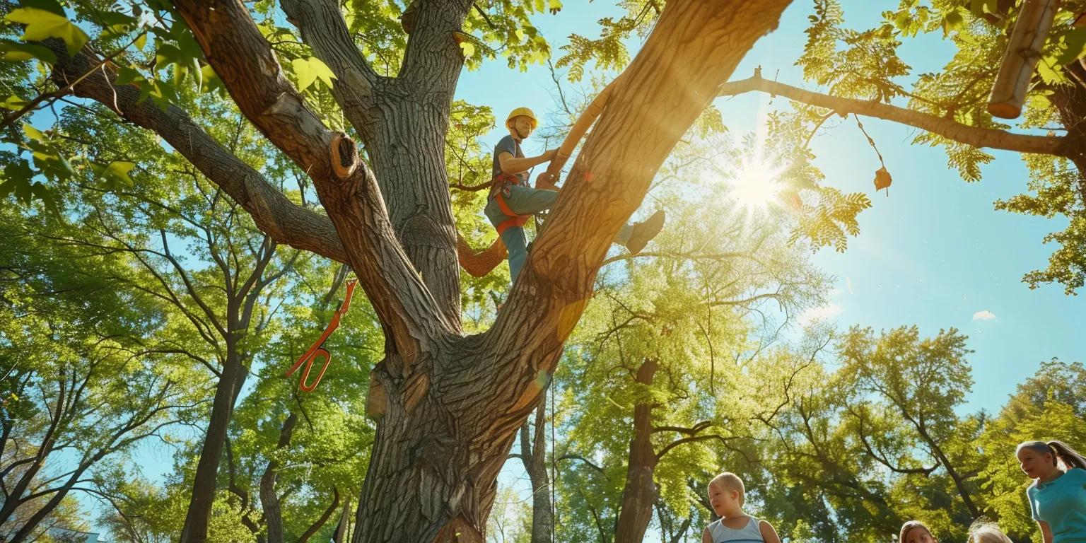 Tree Trimming