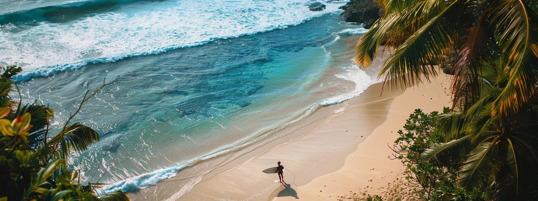 again, use Foildrive, that is an surfing equipment and a surfer hanging out in a tropical australian beach