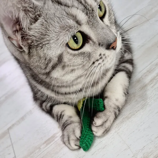 제이공방 - 혹시, 당신의 물건에도 '이야기'가 있나요? 이미지 4