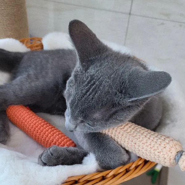 제이공방 - 요즘 우리 집, 왜 이렇게 따뜻하고 특별해졌을까? image 1