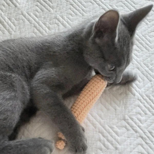 제이공방 - 요즘 우리 집, 왜 이렇게 따뜻하고 특별해졌을까? image 6