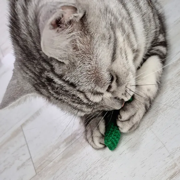 제이공방 - 나만의 특별함을 찾는 당신에게, 핸드메이드가 건네는 따뜻한 위로 image 8