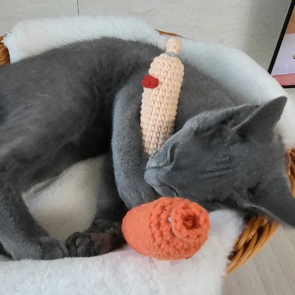 เจย์กงบัง - อัปเดตเทรนด์งานฝีมือ 2569: เติมเต็มพื้นที่ส่วนตัวด้วยไอเท็มทำมือสุดอบอุ่นหัวใจ 이미지 2