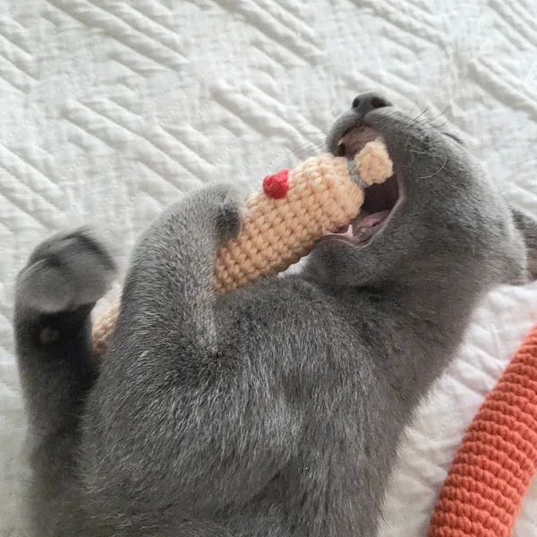 เจย์กงบัง - อัปเดตเทรนด์งานฝีมือ 2569: เติมเต็มพื้นที่ส่วนตัวด้วยไอเท็มทำมือสุดอบอุ่นหัวใจ 이미지 5